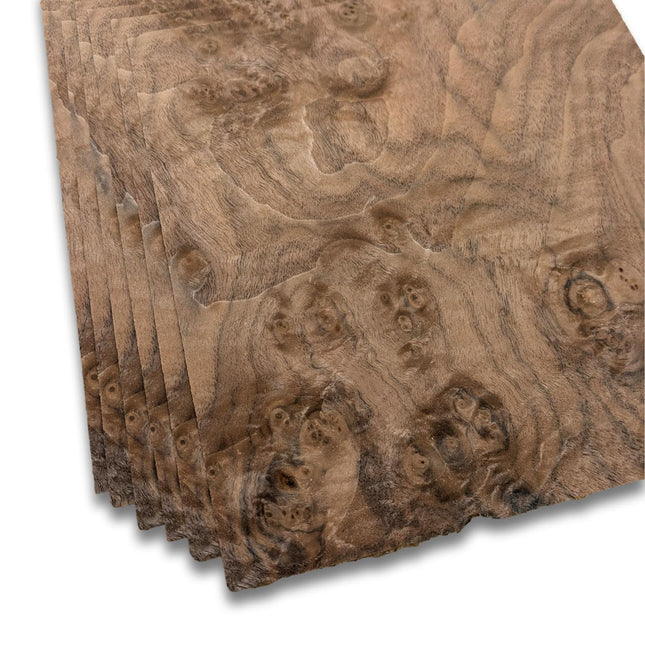 Placage de ronce de noyer | 6 feuilles | 25x25 cm