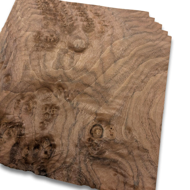 Placage de ronce de noyer | 6 feuilles | 25x25 cm