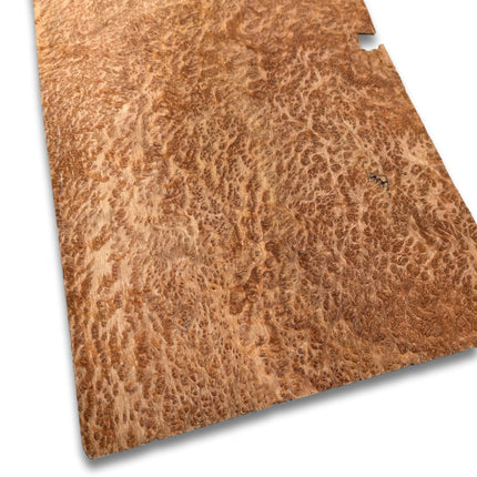 Placage de Loupe de Amboyna | 31x19 cm