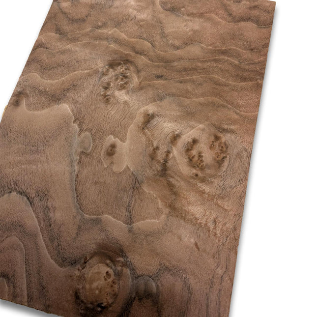 Placage de ronce de noyer | 35x25 cm